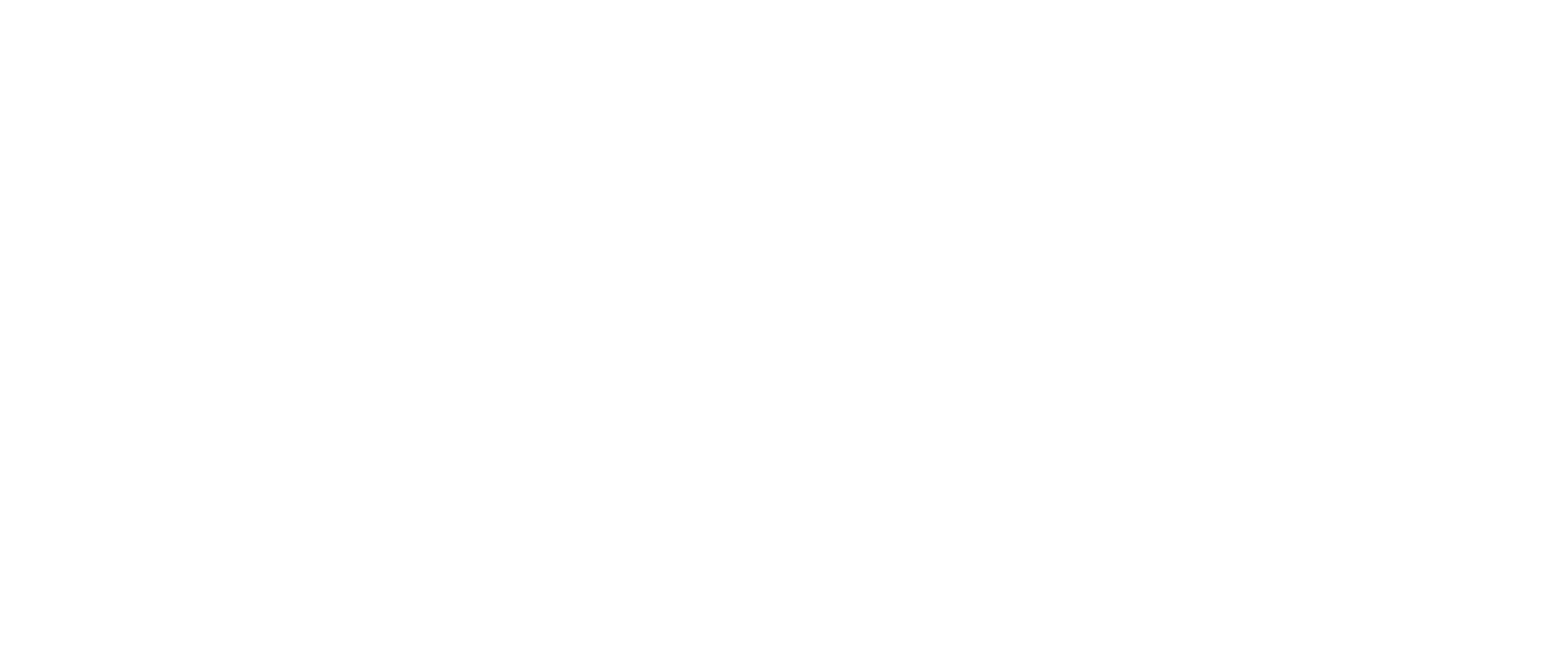 logo carol morgan